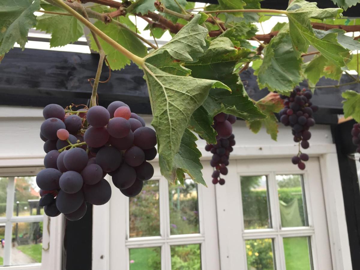 Revninge Guesthouse Екстериор снимка